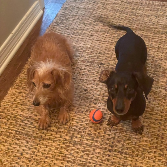 Meet the Posher, Deb - Picture 4 of 14